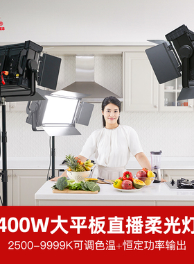 锐鹰D-S400Pro大功率400W双色温平板柔光直播灯摄像灯led影视补光灯直播演播采访人物拍摄产品拍摄通用