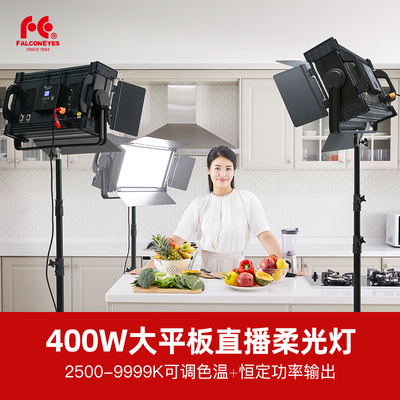 锐鹰大功率400W双色温