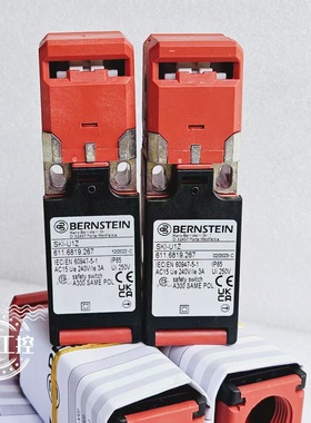 原装博恩斯坦/BERNSTEIN安全门开关 SKI-A2Z 601.6869.166  2闭