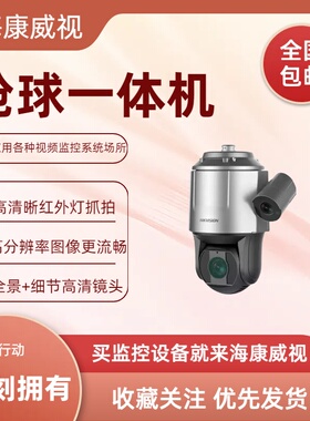海康威视iDS-2SK8144IX-D/JM (2.8-12)(T2) 双400万枪球一体机