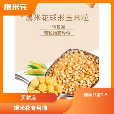 球形爆米花商用原料球形爆米花