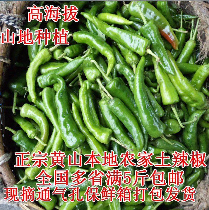 黄山本地辣椒农家留种薄皮5斤