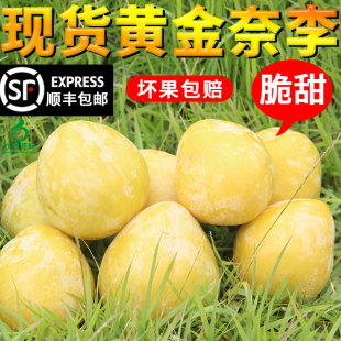 顺丰包邮文明黄金奈李湖南郴州汝城水果新鲜应季恐龙蛋脱骨脆纯甜