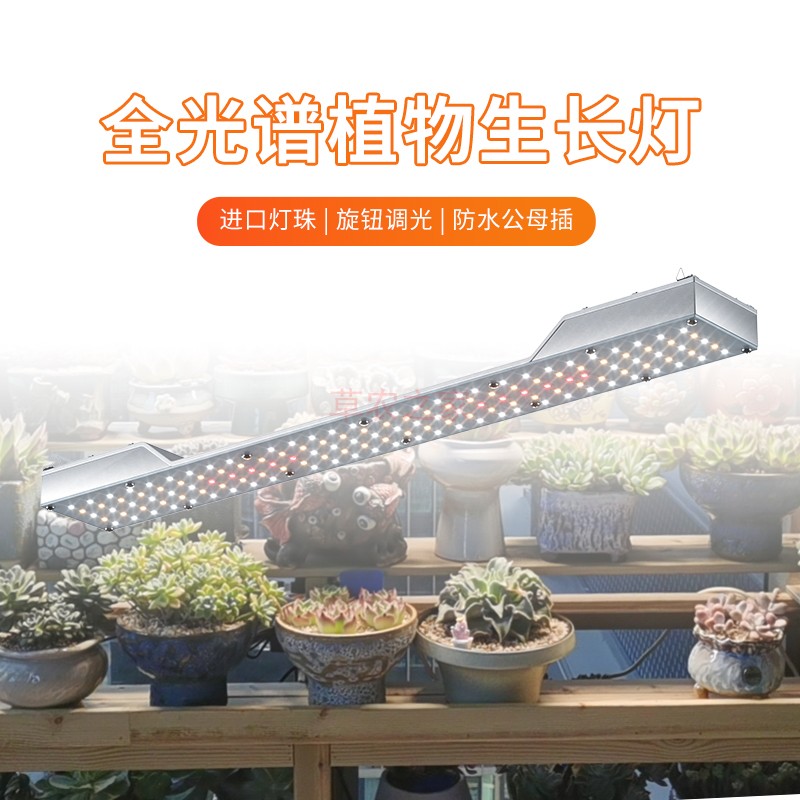 全光谱量子板兰花月季多肉补光灯