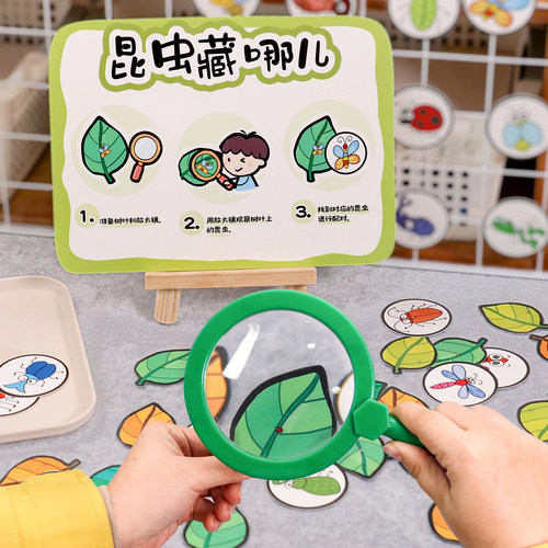 昆虫观察放大镜配对常识卡幼儿园小中班科学区域材料投放玩教具