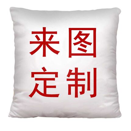来图定制抱枕正方形logo照片双面印图沙发枕套2way学生宿舍午休枕