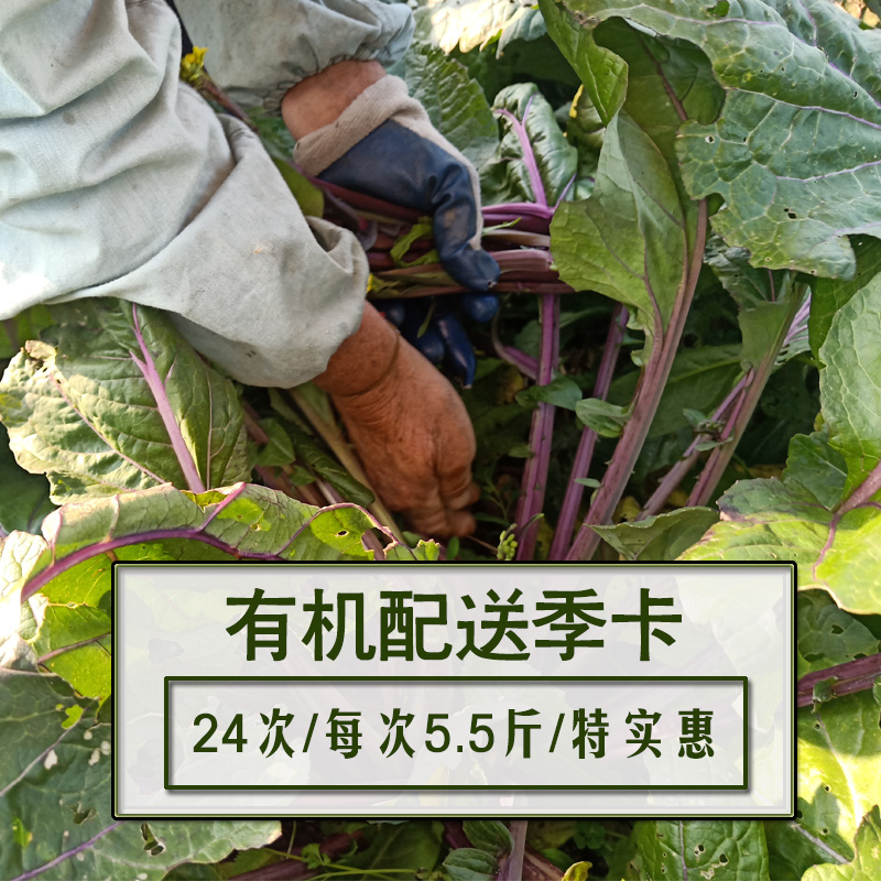 【继红有机农场】家庭配送季卡套餐132斤新鲜蔬菜当季时令食材 购物提货券 蔬菜/年夜饭/熟食/半成品券 原图主图