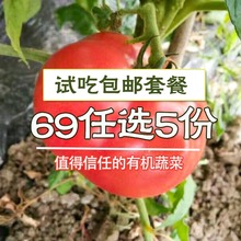 【继红有机农场】有机蔬菜套餐试吃3.5斤时令生鲜新鲜当季食材