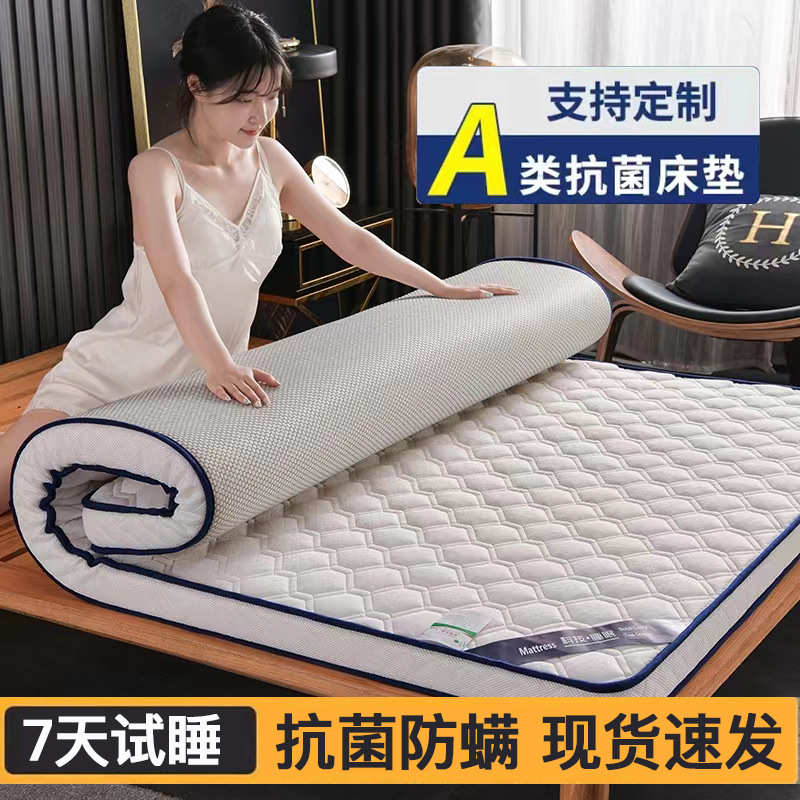 德国进口F床垫铺底软垫家用厚款