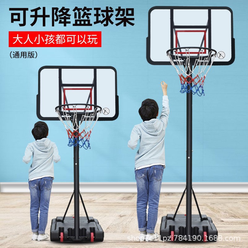 德国进口家用青少年可升降篮球架