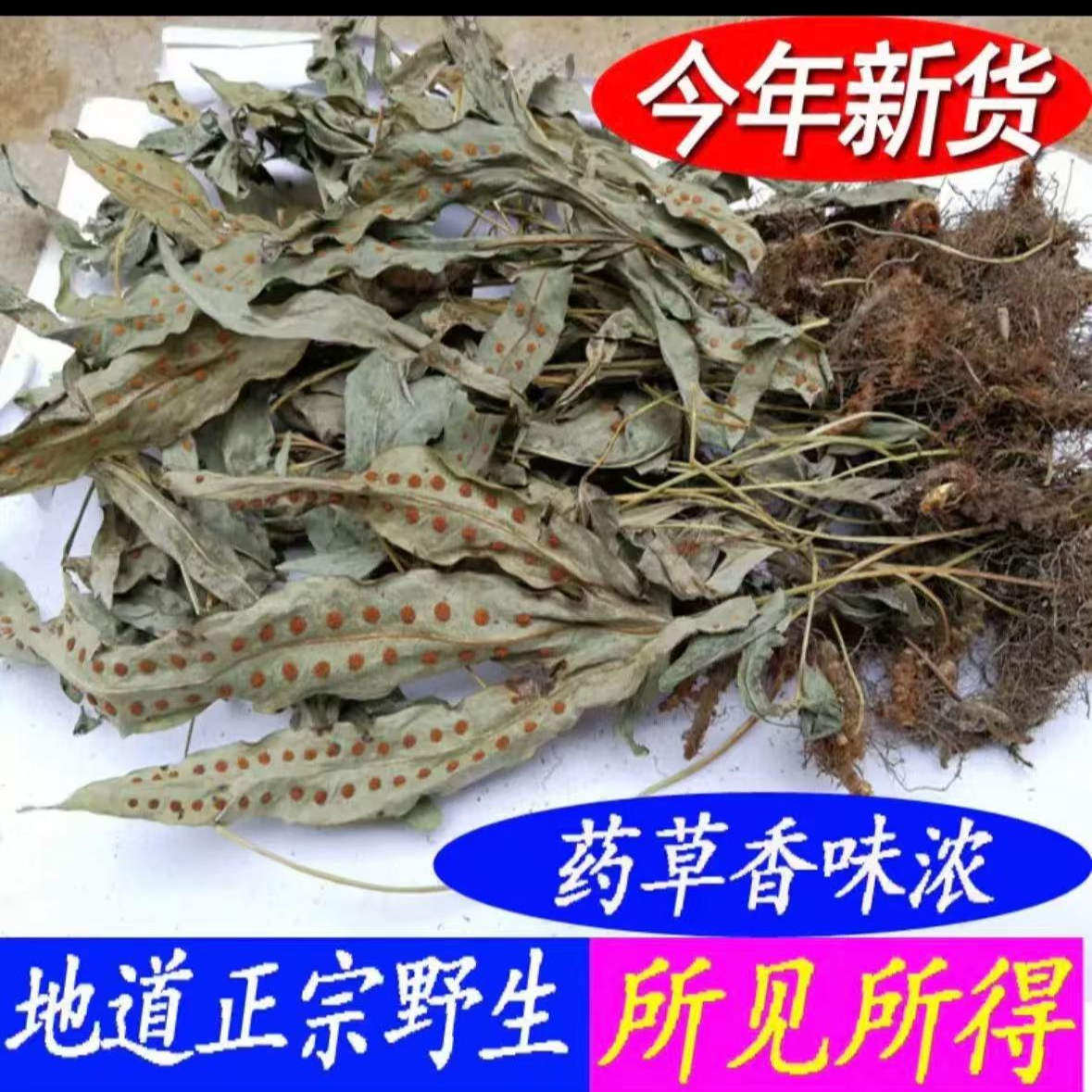 武平特产 炖汤 金鸡脚中草药 鸭掌草 客家新鲜晒干鸭脚草