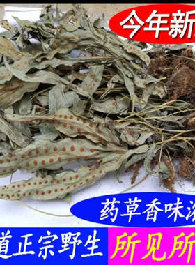 武平特产 炖汤 金鸡脚中草药 鸭掌草 客家新鲜晒干鸭脚草