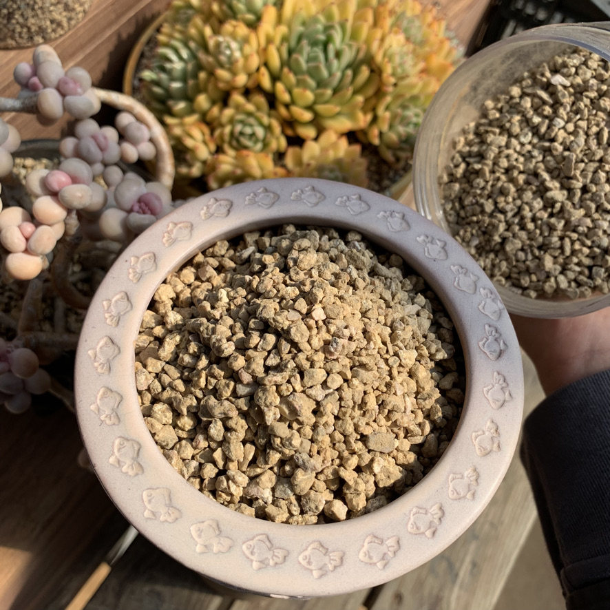 叶植庭【 颗粒土】,鲜花速递/花卉仿真/绿植园艺,介质/营养土,淘宝优惠券,粉丝福利购,淘宝优惠卷