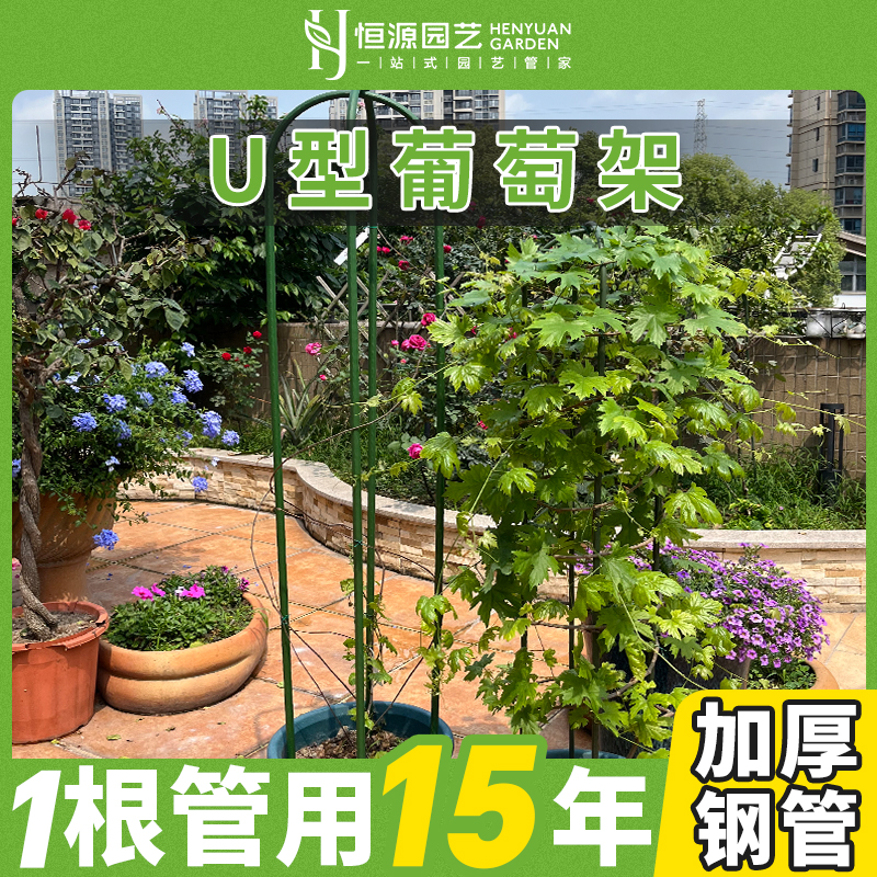 弯管支架爬藤支架恒源园艺