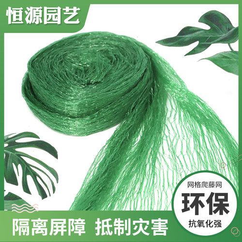 翠绿色鸟网果树网园艺网养殖网