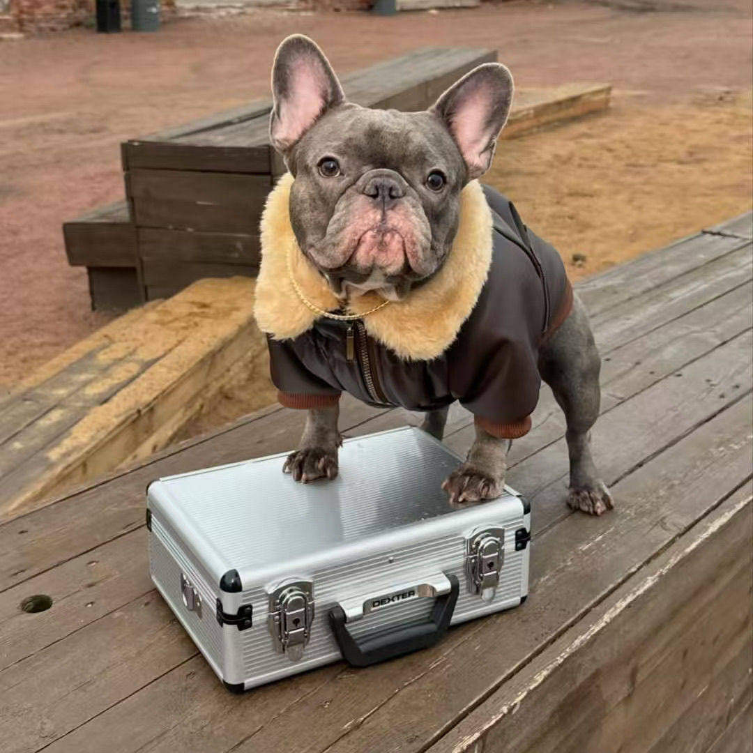 狗狗衣服秋季冬季保暖斗牛犬巴哥法牛秋冬宠物潮牌中型犬法斗皮衣,宠物/宠物食品及用品,狗宠物服装/雨衣,淘宝优惠券,粉丝福利购,淘宝优惠卷