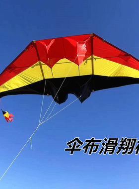 滑翔机风筝成人大型巨型好飞易飞抗大风微风新款飞机大人高档专用