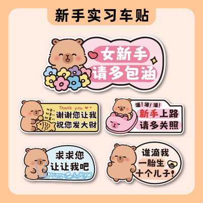 实习期车贴新手上路反光标志汽车磁贴搞笑车标创意磁吸女司机贴纸