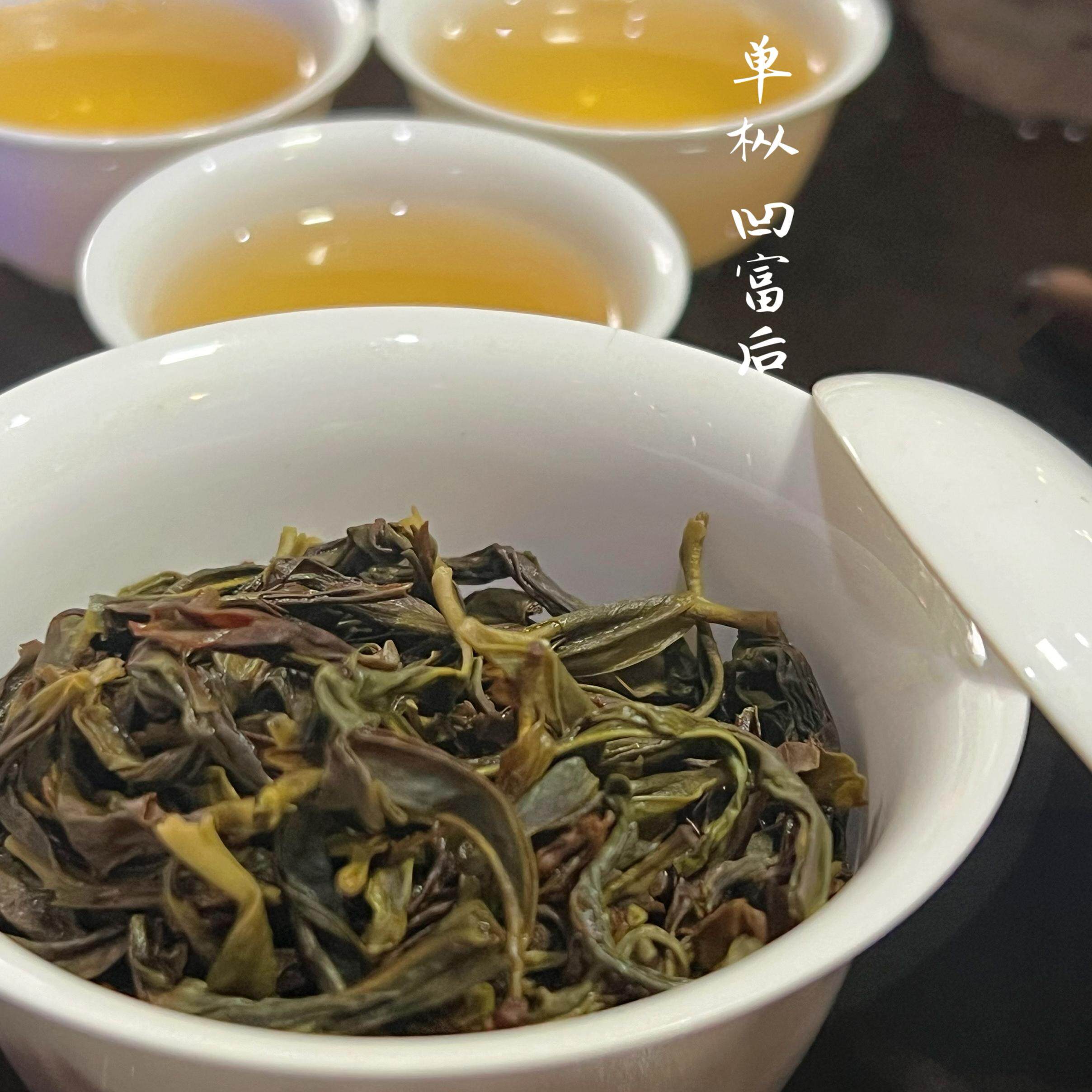 2024头春茶蜜兰香鸭屎香锯朵仔乌龙茶试喝茶样凤凰单枞特级功夫茶
