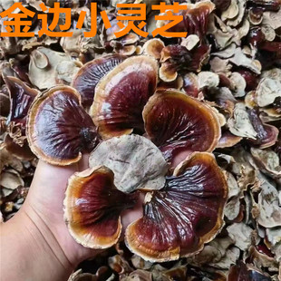 金边小灵芝片500g长白山半野生紫芝赤黑灵芝粉灵芝茶林芝东北特产