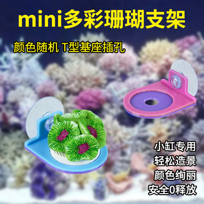 龙祥宫其它水族用具设备图片