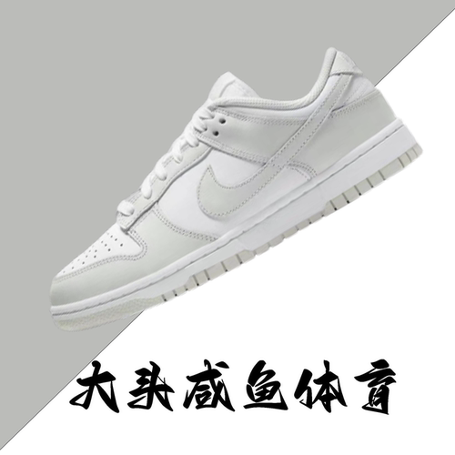 Nike Dunk Low 耐克女子低帮DUNK白灰色板鞋 DD1503-103 - 封面