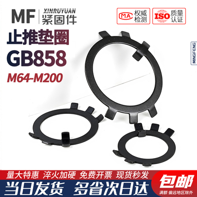 GB858止退圈太阳垫王八垫元螺母垫防滑垫固定垫止动垫M64--200