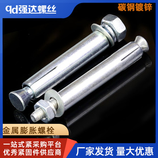 M6M8M10M14M16M18 金属膨胀螺丝钉镀锌膨胀螺丝钉壁虎拉爆丝栓