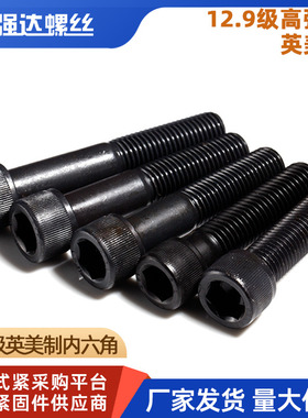 46810# 3/16 1/4 5/16 3/8 1/2 5/8英美制12.9级内六角螺栓螺丝钉