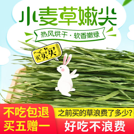 26年宠物兔子草料小麦草干草嫩苗荷兰猪烘干牧草促进肠胃消化200g