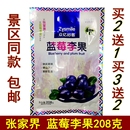 众亿好客蓝莓李果208克湖南张家界特产蓝莓果脯蜜饯休闲零食小吃