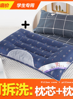 枕头护颈椎 助睡眠学生整头宿舍单人一对决明子枕头套和枕芯一套
