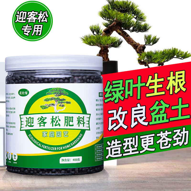 迎客松专用肥料营养液