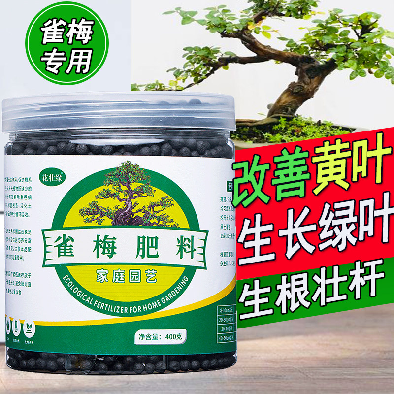 雀梅肥料雀梅藤树苗专用肥料酸色子雀梅老桩盆景专治叶子发黄掉叶,鲜花速递/花卉仿真/绿植园艺,家庭园艺肥料,淘宝优惠券,粉丝福利购,淘宝优惠卷