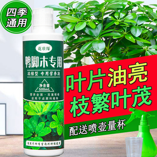 鸭掌木专用肥摇钱树八方来财鹅掌柴鸭脚木营养液招财树盆栽土植物