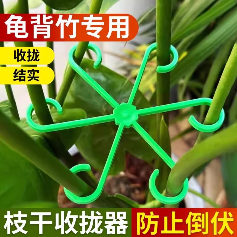 龟背竹支撑杆支撑架枝干收拢架图片