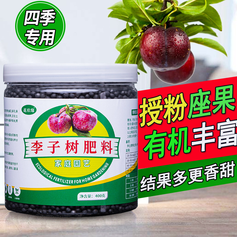 李子树专用肥樱桃李肥料营养液