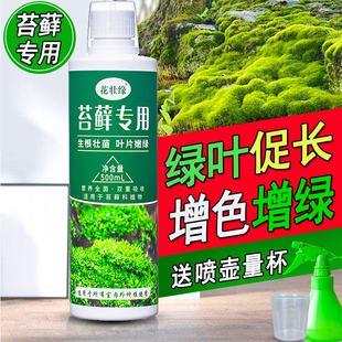 苔藓营养液专用肥盆栽微景观造景绿植生根液体治干枯黄叶增绿肥料