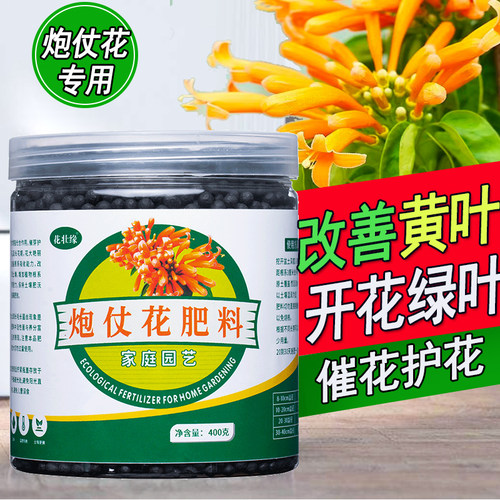 炮仗花肥料促生长开花四季通用