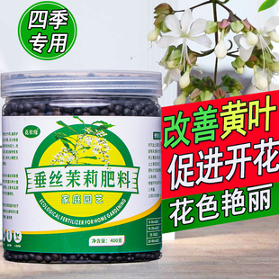 垂丝茉莉专用肥垂丝茉莉花肥料营养液四季开花家用养花盆栽防黄叶