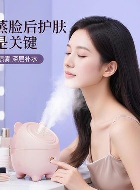 热雾润肤吸收双热喷蒸脸器家用迷你脸部喷雾补水仪办公室加湿器