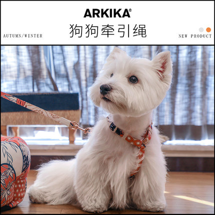 日本ARKIKA中小型犬宠物脖圈胸背猫咪狗狗项圈牵绳外出遛狗绳子