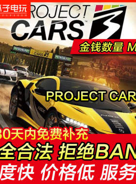 存档修改 PS4 Project CARS 3 赛车计划3 完全赛车 赛车竞速 替换