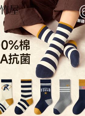 儿童袜子男童纯棉秋冬a类10A抗菌防臭无骨大童男孩学生棉袜中筒袜