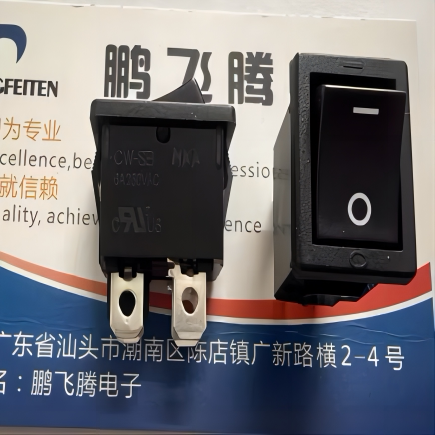 全新日本NKK 直插4脚2档船型开关CW-SB21KKGF档翘板电源按钮15*21