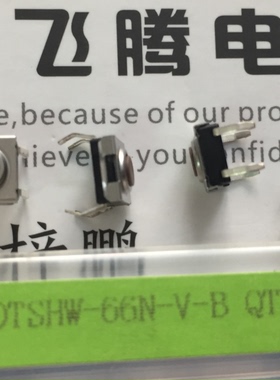 原装台湾DIP 直插4脚6*6*3.1防水防尘高温轻触开关 DTSHW-66N-V-B