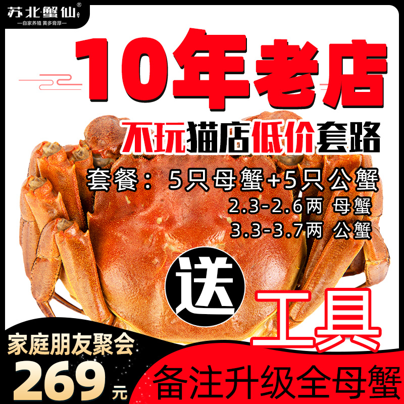 鲜活10只兴化红膏大闸蟹