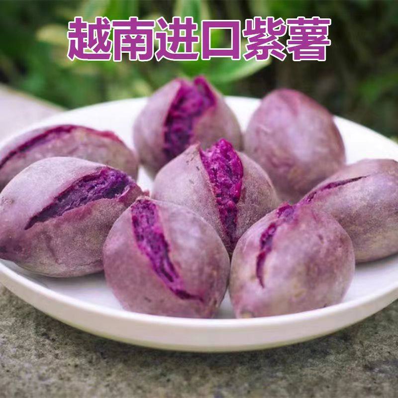 【超好吃不粉包赔】粉糯香甜新鲜紫薯大中小果越南珍珠紫薯小紫薯