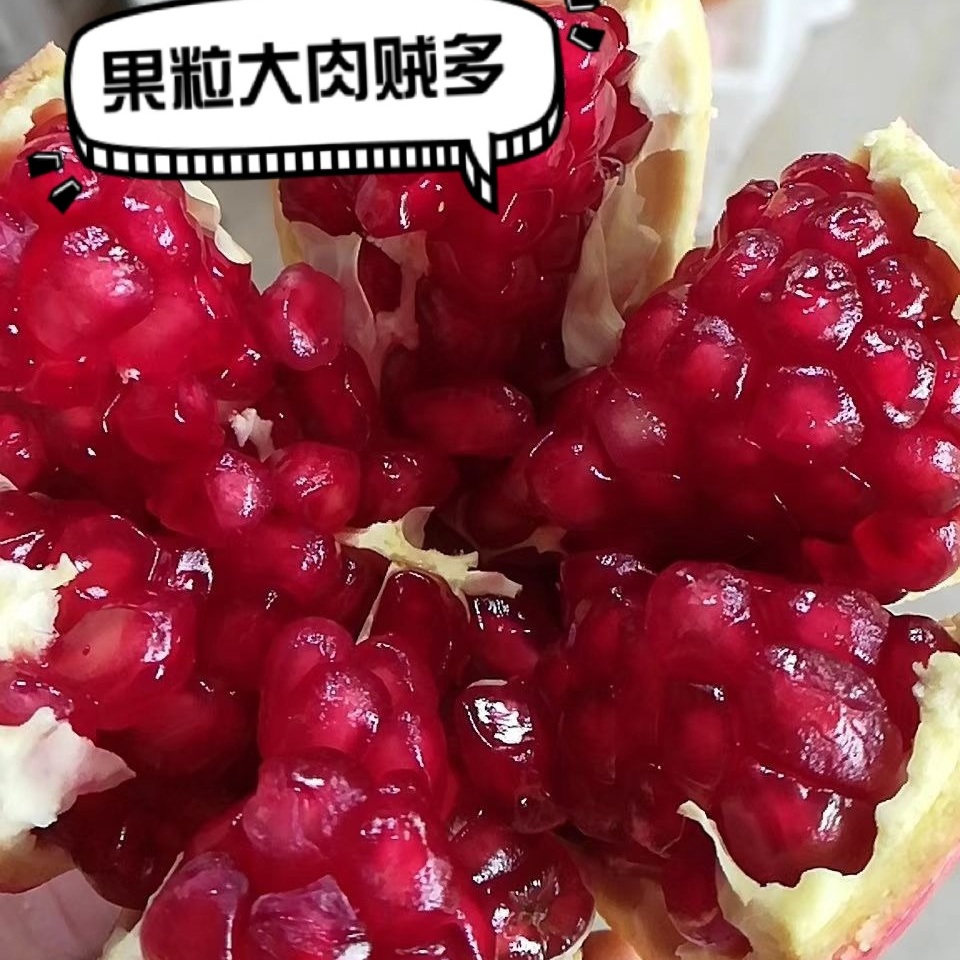 正宗荥阳特产河阴石榴突尼斯软籽石榴河阴软籽石榴晚熟石榴整箱