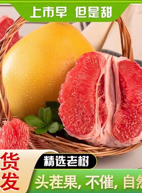 2026年新上市海南蜂糖红柚三红柚薄皮小柚子现货尝鲜